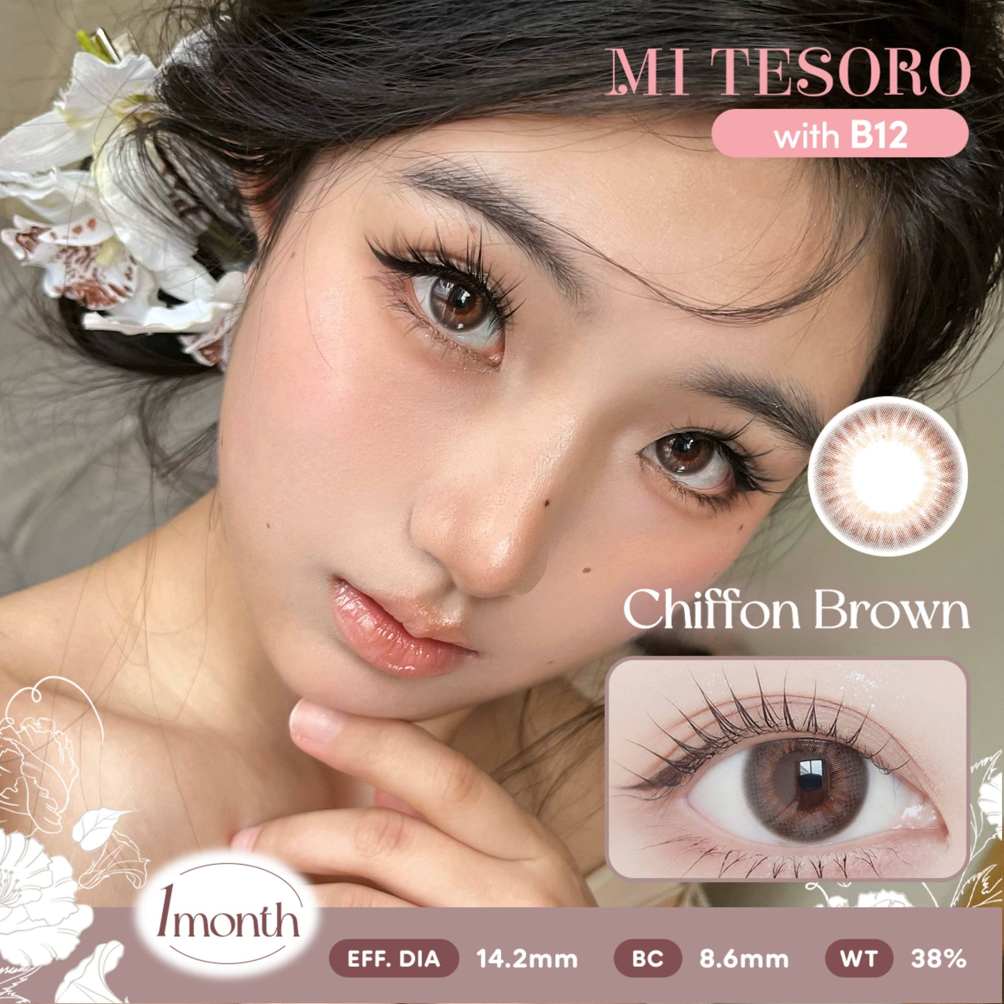 Chiffon Brown-Mi Tesoro Monthly Color Con 2pcs